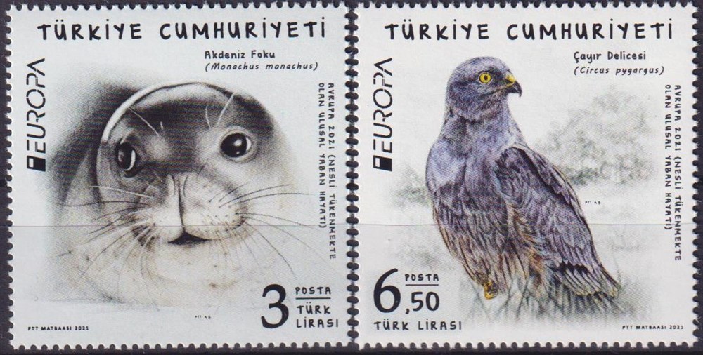 1362-Nesli Tükenmekte Olan Ulusal Yabani Hayvanlar