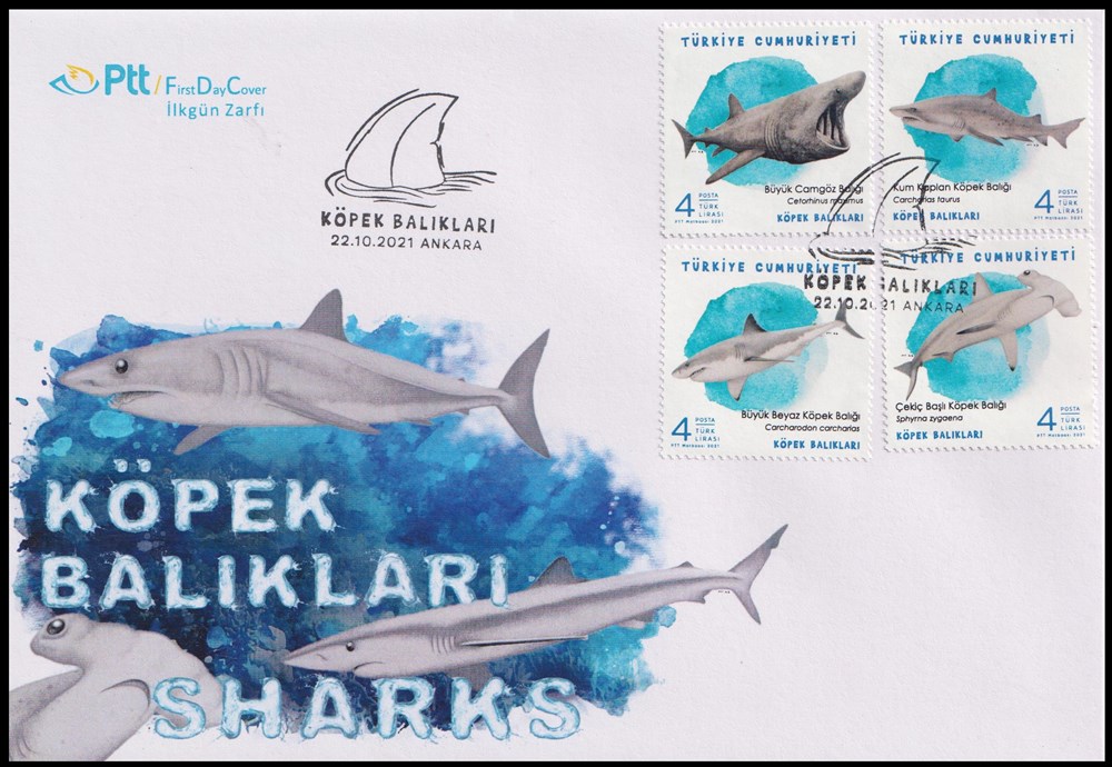 1373-Köpek Balıkları