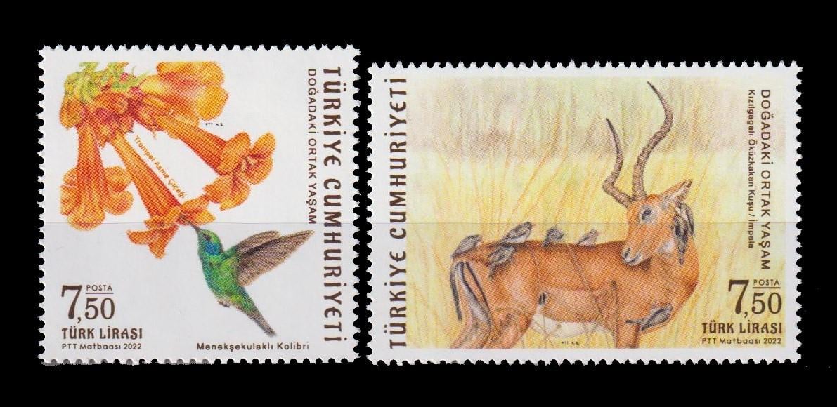 1401-DOĞADAKİ ORTAK YAŞAM