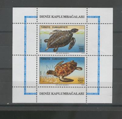 0680 Deniz Kaplumbağları - Özel Blok