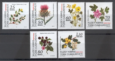 0278 Bitki ve Meyveler