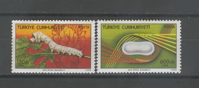 0668 Türk İpekböcekçiliği