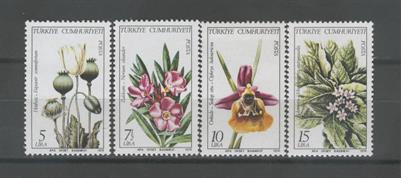 0511 Türkiye Bitkileri