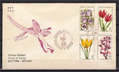 524 Türkiye Bitkileri