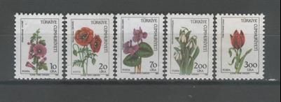 0594 Kır Çiçekleri - Sürekli Seri