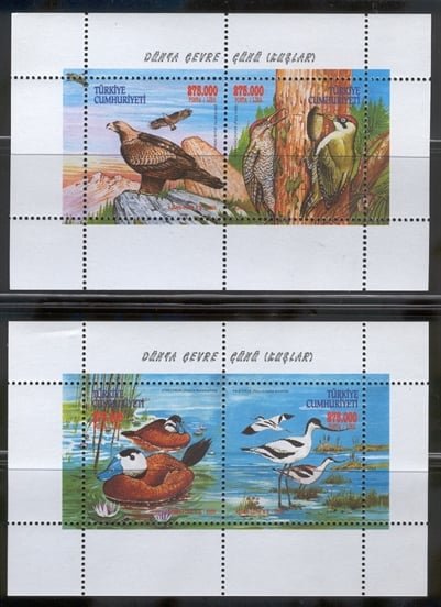 0846 Dünya Çevre Günü - Kuşlar