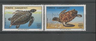 0679 Deniz Kaplumbağları