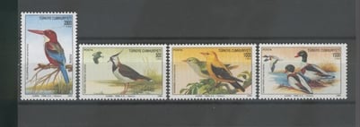 0722 Dünya Çevre Günü