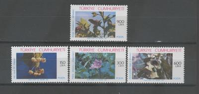 0664 Tıpta Kullanılan Anadolu Bitkileri