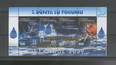 1013 V.Dünya Su Forumu - Blok