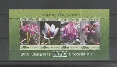 1048 Dünya Çevre Günü Anma Bloku