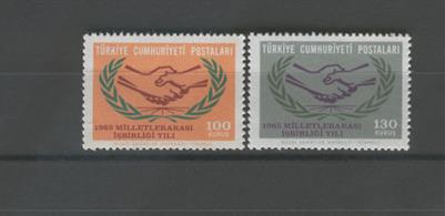 0270 Milletlerarası İşbirliği Yılı