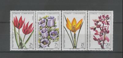 0524 Türkiye Bitkileri