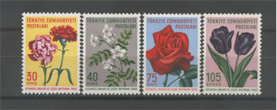 0207 İstanbul Bahar ve Çiçek Bayramı