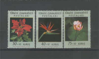 0234 Bahar ve Çiçek Bayramı