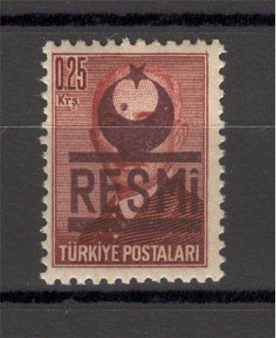 0107 Sürşarjlı Resmi Seri