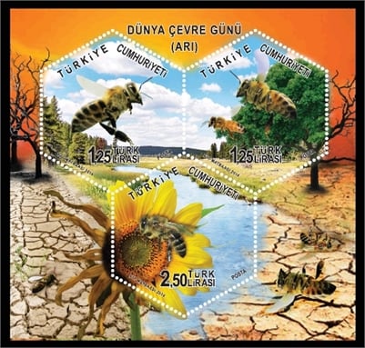 1154 Dünya Çevre Günü-Arılar