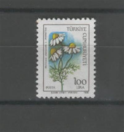 0610 Kır Çiçekleri - Sürekli Seri