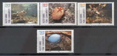 0205 Turizm - Su Altı Fotoğrafları