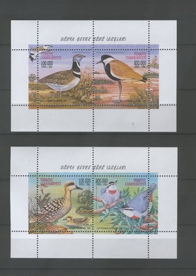 0831 Dünya Çevre Günü - Kuşlar