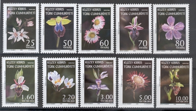 0251 Orkideler - Kır Çiçekleri