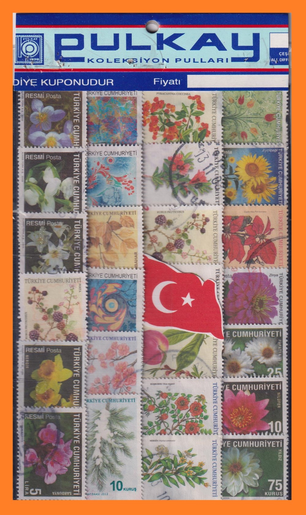 LUX (.Lx.) 25 ÇEŞİT TÜRK - ÇİÇEK