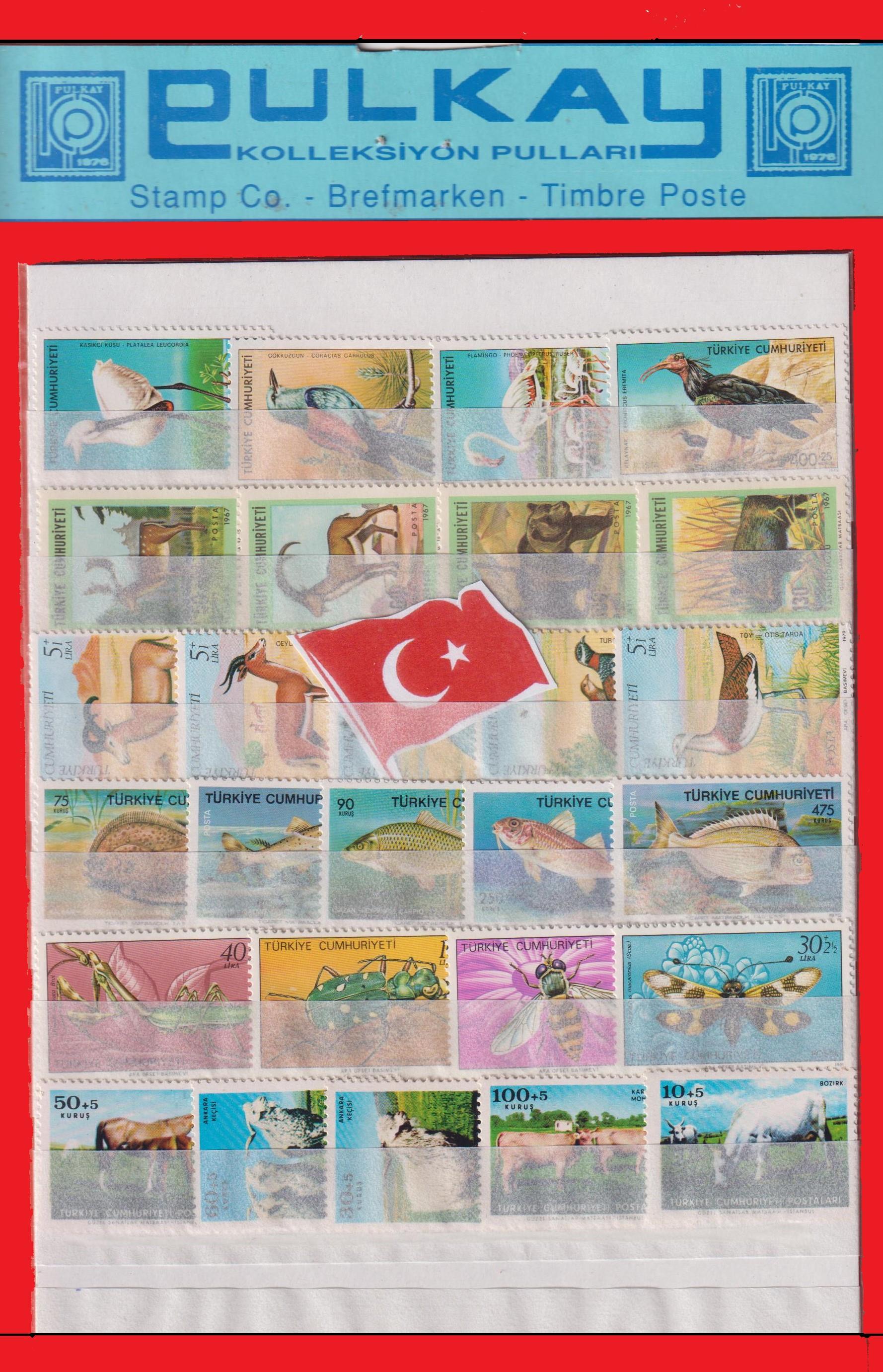 VAKUM DAMGASIZ TÜRK-HAYVAN