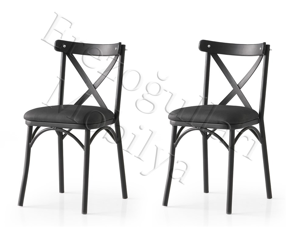 Bahar Mutfak Bahçe Cafe Sandalyesi 2 Li Set