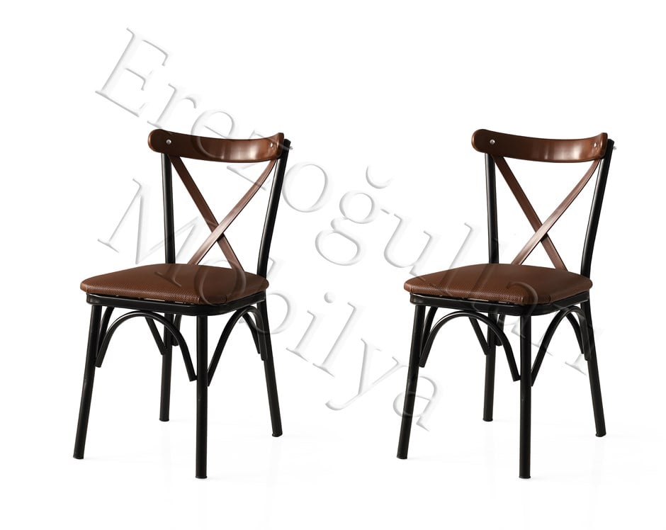 Bahar Mutfak Bahçe Cafe Sandalyesi 2 Li Set