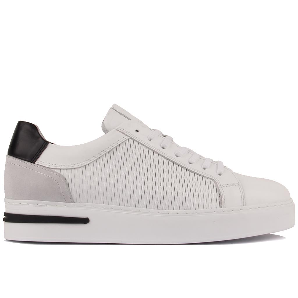 Sail Lakers - Beyaz Deri Bağcıklı Erkek Sneaker