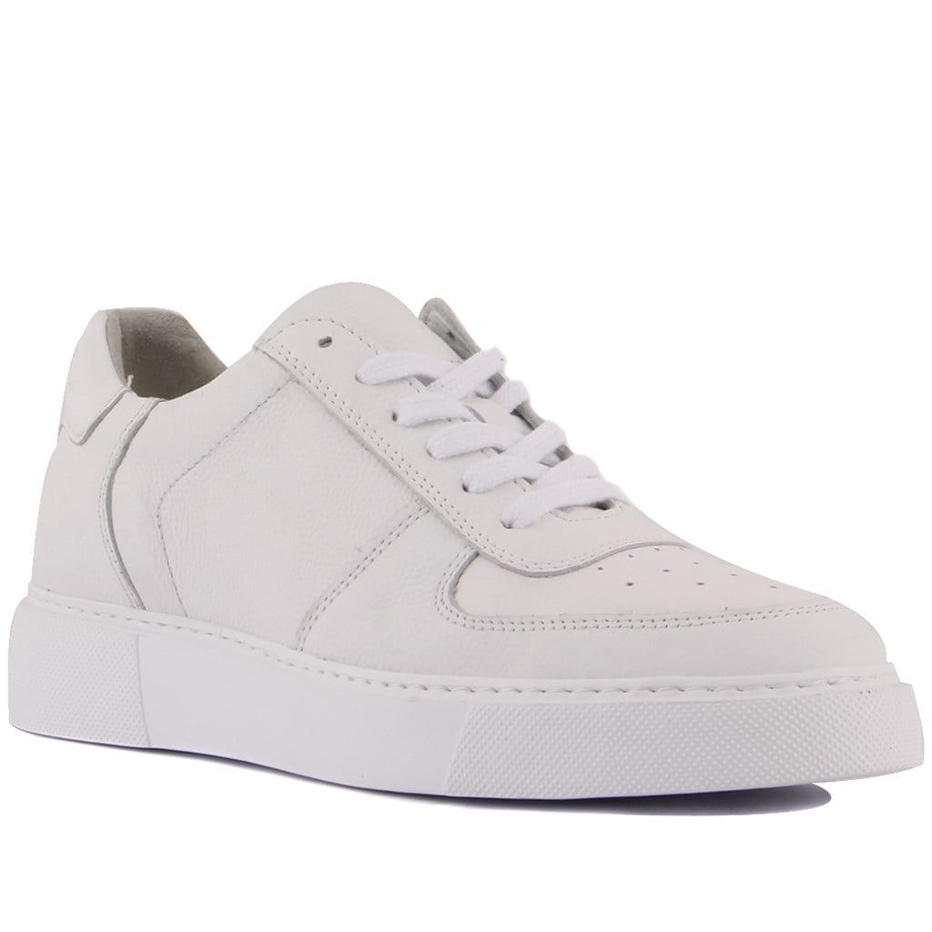 Sail Lakers - Beyaz Deri Erkek Sneaker