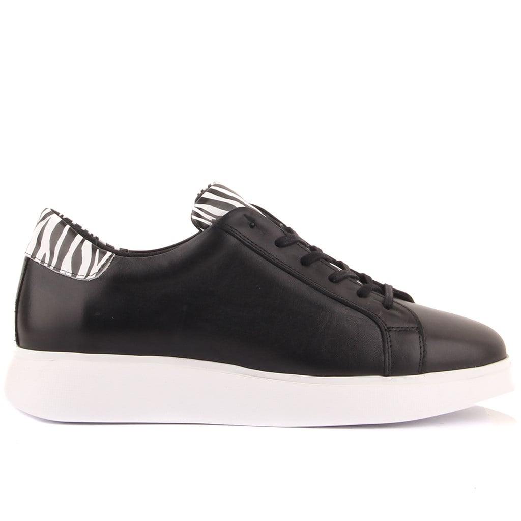 Sail Lakers - Siyah Deri Bağcıklı Erkek Sneaker