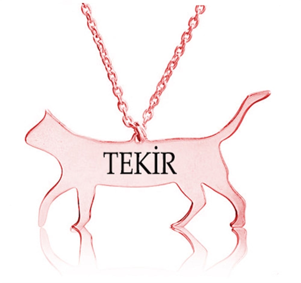 GÜMÜŞ ÖZEL TASARIM İSİMLİ KEDİ KOLYE
