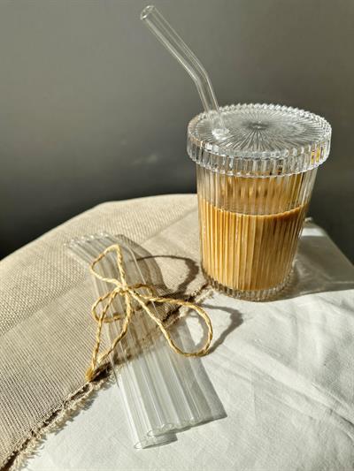 Retrobird Concept Gift Glass Cup Set with Lid and Straw