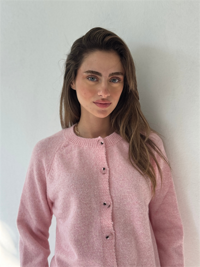 Retrobird Jodie Bisiklet Yaka Düğmeli Pembe Triko Hırka