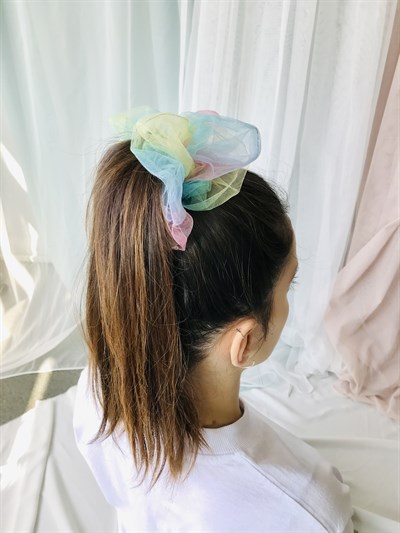 Retrobird Standard Size Colorful Organza Large Bagel Buckle