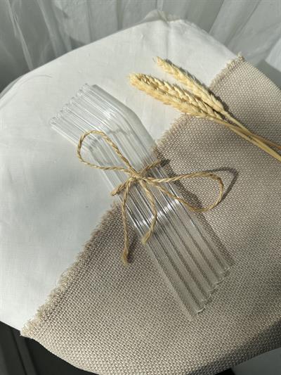 Retrobird 6-Piece Glass Straws Set