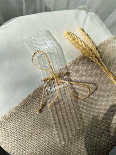 Retrobird 6-Piece Glass Straws Set