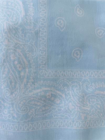 Retrobird Light Blue Bandana