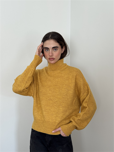 Retrobird Basic Mustard Knitwear Sweater