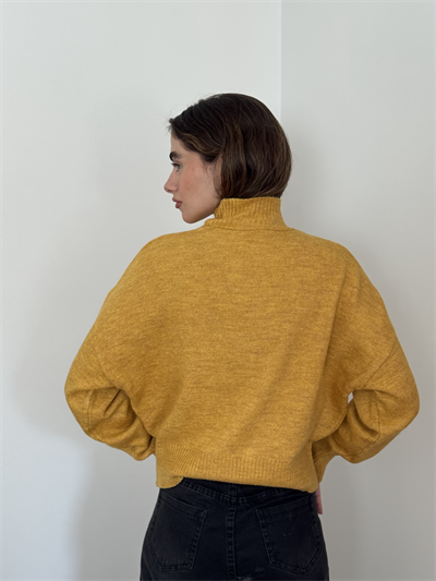 Retrobird Basic Mustard Knitwear Sweater