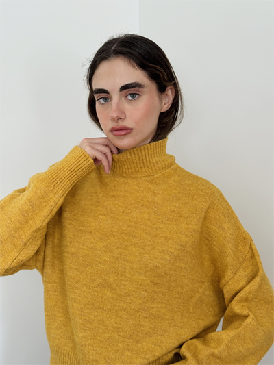 Retrobird Basic Mustard Knitwear Sweater