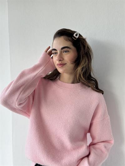 Retrobird Pink Blogger Basic Sweater