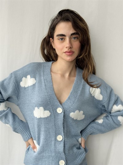 Retrobird Blue Cloud Embossed Cardigan