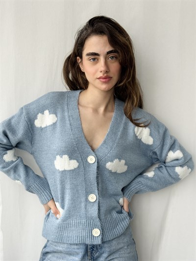 Retrobird Blue Cloud Embossed Cardigan