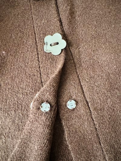 Retrobird Daisy Bloom Brown Floral Buttoned Cardigan