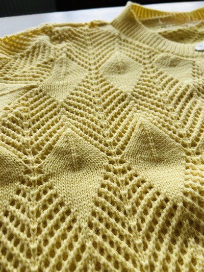 Retrobird Perforated Spring Yellow Cardigan