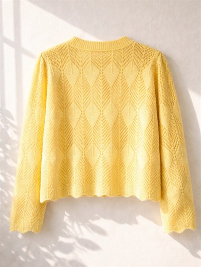 Retrobird Perforated Spring Yellow Cardigan