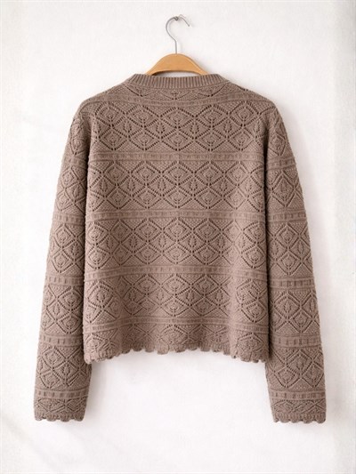 Retrobird Patterned Perforated Spring Mink Cardigan