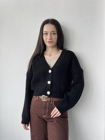 Retrobird Gümüş Düğmeli Siyah Crop Hırka